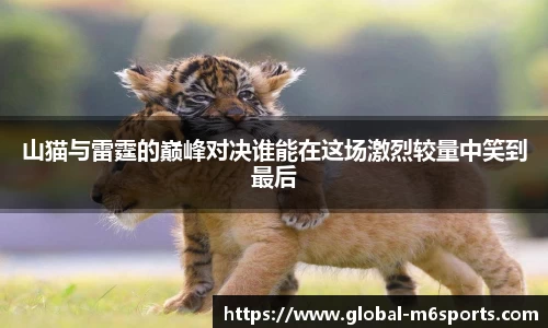山猫与雷霆的巅峰对决谁能在这场激烈较量中笑到最后